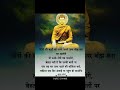 buddha message buddha quotes buddha inspiration weinspired buddhainspired buddha moralstory