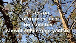 Hine Ma Tov Uma Naim with lyrics / הנה מה טוב ומה נעים עם מילים