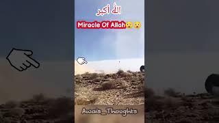 Miracle Of Allah 😲#viral #ytshorts #shorts
