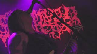 OSSUARY - Live @High Noon Saloon (Madison, Wisconsin. April 25th, 2024)