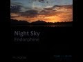 Night Sky - Endorphine (Original Mix)