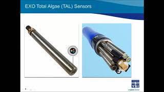 Monitoring Harmful Algal Blooms: a YSI Webinar (2)