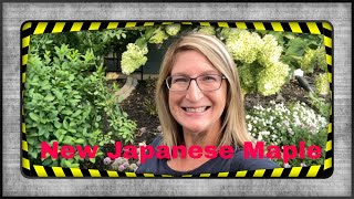 Watch Me Transform My Westside Garden with a Japanese Maple Planting & A Huge Mistake That I Made!