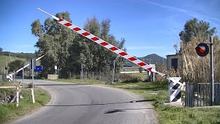 Spoorwegovergang Ardara (I) // Railroad crossing // Passaggio a livello