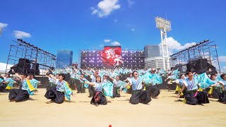 [4K] 東京理科大学Yosakoiソーラン部　こいや祭り 2023 日曜日