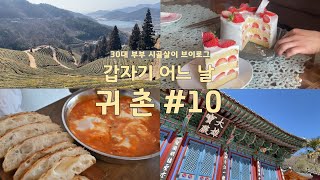 [귀촌일기] 지역축제와 겨울 딸기만든 케이크, 맛있는 시골살이