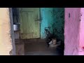 5 generation old traditional courtyard type🏡 house tour. 5 தலைமுறை பழமையான பாரம்பரிய வீடு