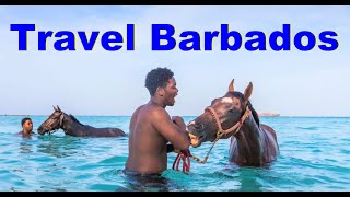 Barbados Travel Tips and Advice - A Barbados Travel Guide - Travel Media and Trade