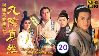 姜大衛主演 | TVB 武俠劇 | 射鵰英雄傳之九陰真經 20/20 | 姜大衛(藥師)隱居桃才已島 | 張智霖、姜大衞、梁珮玲、顧美華、翁杏蘭、關寶慧 | 粵語中字 | 1993