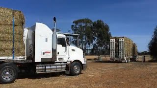 Hay carting from Bathurst to Victoria