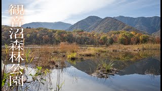 第二弾〈福島県南会津下郷町〉観音沼森林公園