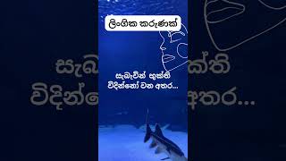 මෙයාලා ඒ දේවල් හංගන්නේ නෑනේ. 😋😋 #psychology  #education  #shortvideo #shorts