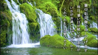 動く！暑中見舞いカード　【名水百選！元滝伏流水】