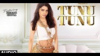 Tunu Tunu | Sherlyn Chopra feat  Vicky & Hardik