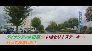 【車載ドラレコ】[雑談＃3]今や希少のいきなり！ステーキ目的で小田原へ