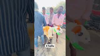 Just 4 hallu Kerur market #amingadtagaru #sheep #sheepsheep #marketing