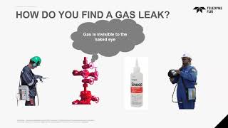 FLIR: Leak Detection & Predictive Preventative Maintenance Solutions