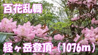 【登山】九州百名山 経ヶ岳登頂