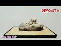 148.정본소장석감상과어석에관한전설 정본수석tv 수석탐석 수석 탐석 suiseki 수석감상 수석취미 차박캠핑 차박탐석 취미생활 여행 힐링