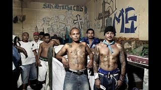 DOC CHOC !!😮😮😱😱 La Guerre Des Gang Los Angeles  Gangs Latinos vs Gangs Noirs/ MS