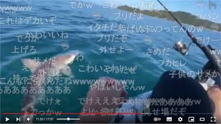 【ニコ生の3時さん 約 1.2m のサメを釣る！】カヤック釣り配信 2023.11.01