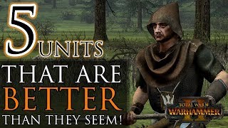 5 UNITS THAT ARE BETTER THAN THEY SEEM! - Total War: Warhammer 2