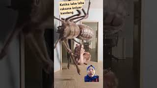 spiderman raksasa apa laba laba raksasa#short#spider man#labalaba#