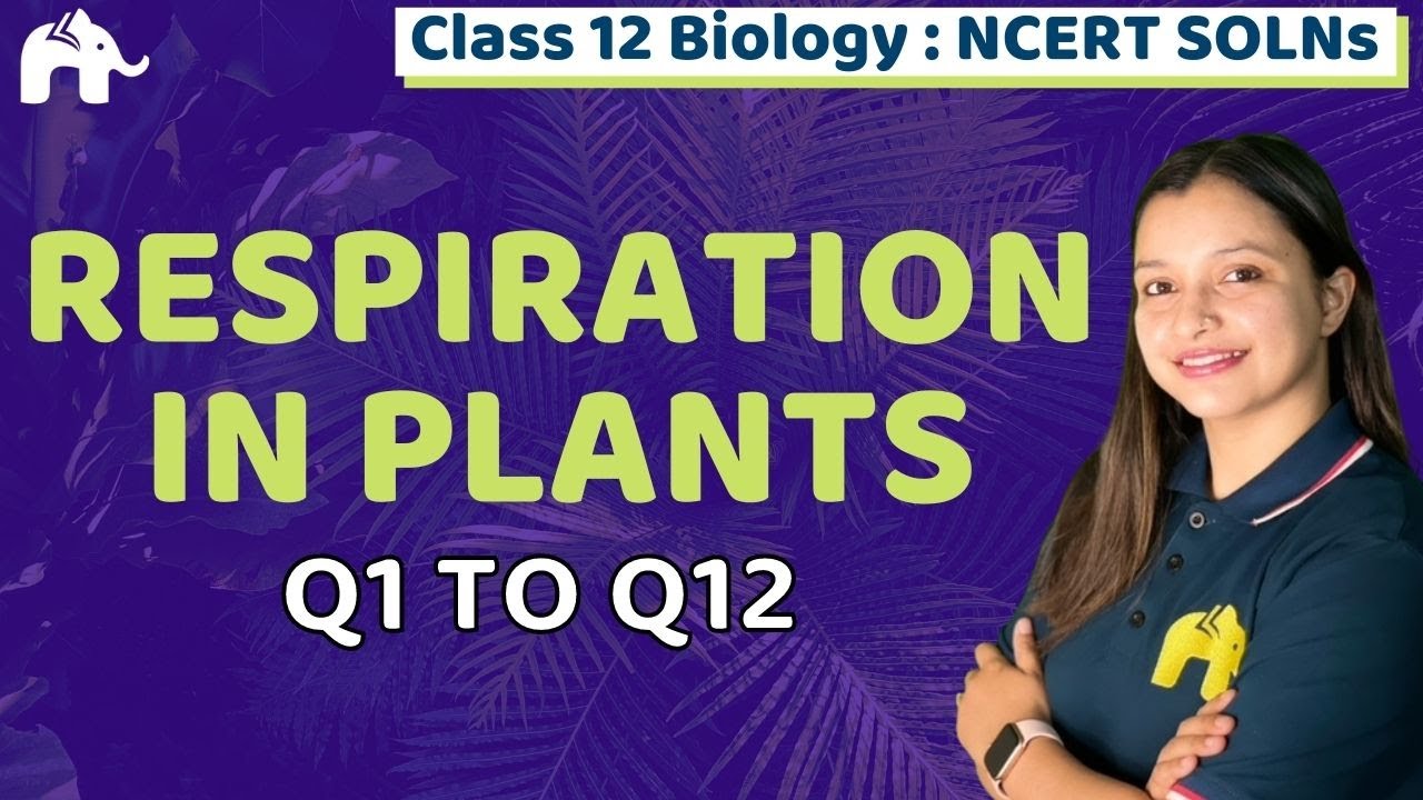 Respiration In Plants Class 11 Biology | Chapter 14 Bio | NCERT ...