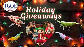 Holiday Giveaways