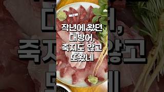 겨울에대방어안먹으면앙꼬빠진찐빵🐟 #대구푸른바다#동촌유원지맛집#동촌유원지횟집#대구대방어#대구대방어맛집#대구방어맛집 #대구횟집#대구동구횟집#방촌동맛집 #대방어회 #대방어맛집