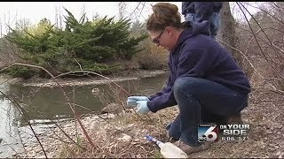 Reducing geese in Boise parks