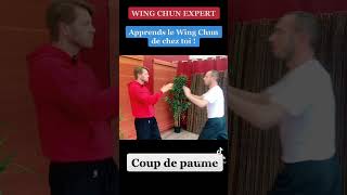 Wing Chun Training : kung fu fighting technique for beginners How to basic !
