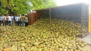 Truck Accident with Coconut Load in My Village