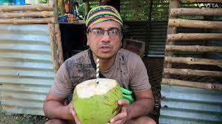 Havelock is Coconut Heaven