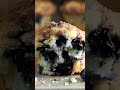 The BEST Blueberry Muffins