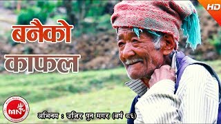 New Nepali Lok Dohori 2074 | Banaiko Kafal - Nabin Rana Ft. Ujir Pun Magar