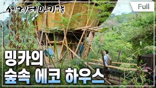 [Full] 세계테마기행 - 내 인생의 피에스타 콜롬비아-  비바 라 비다! 북부 힐링 로드