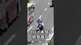 遠距離でも過積載のトラックを一瞬で見分ける鷹の目を持った白バイ隊員 #shorts