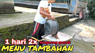 MUDAH BERMANFAAT ‼️ COMBORAN 2X1 KAMBING KITA SEHAT