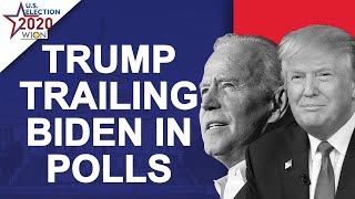 US Election 2020: Opinion polls show Joe Biden holding substantial lead | Donald Trump