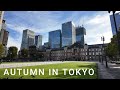 AUTUMN MORNING WALK AROUND TOKYO STATION | ASMR 4K |