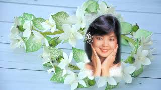 恰似你的溫柔 Just liked Your Tenderness　アジアの歌姫 鄧麗君 Teresa Teng テレサ・テン