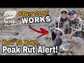 How To Hunt The Peak Rut Weather Forecast