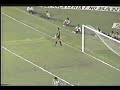 botafogo 3 x 1 flamengo 1981 melhores momentos