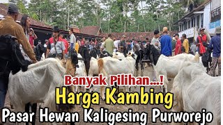 HARGA KAMBING DI PASAR KALIGESING PURWOREJO#hargakambing #pasarkambingkaligesing #kambing