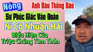 Anh Báu Thông Báo Sư phúc Giác Vào Đoàn