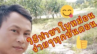 วิธีทำชาใบหม่อนง่ายๆทุกขั้นตอน