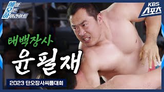 [로드투장사] 2년 만에 태백장사 복귀!🐂 / 2023 단오장사씨름대회 태백장사 윤필재