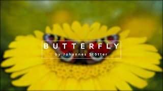 Bodypaint Illusion - Butterfly by Johannes Stötter