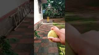 Off spin bowling technique